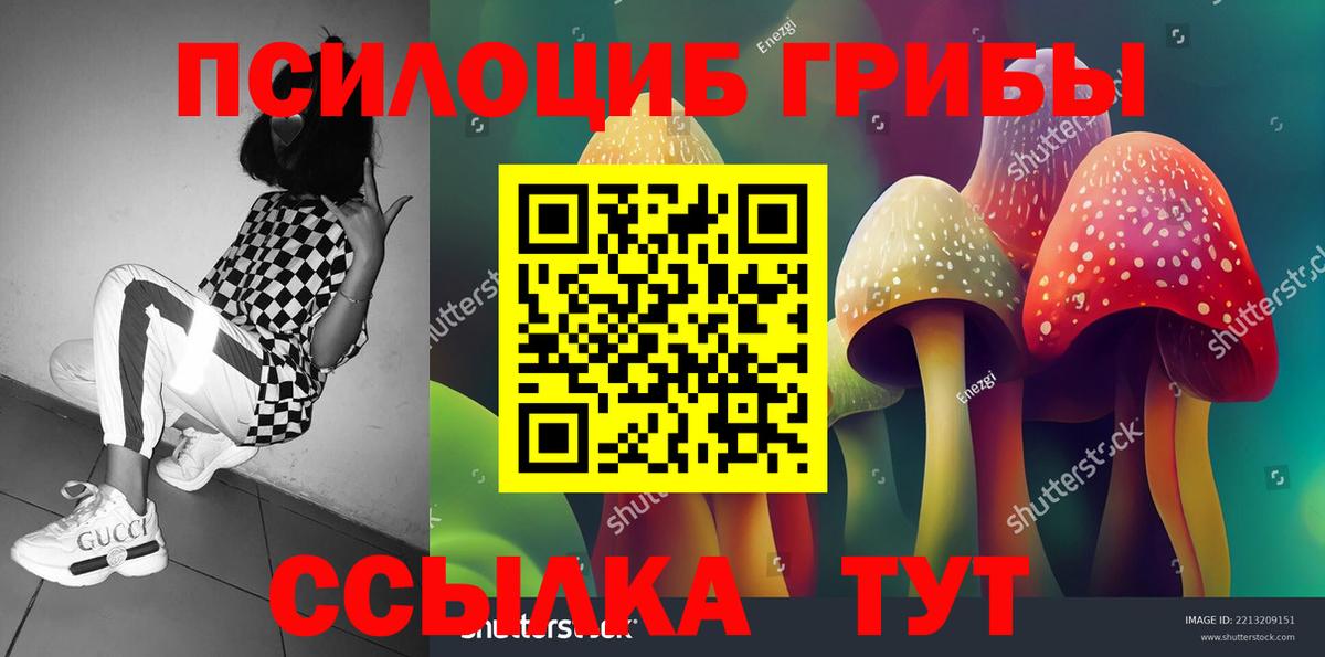 Псилоцибиновые грибы Psilocybe Назарово